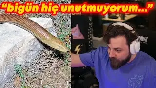 ELRAENN OLUKLU KERTENKELE YAKALAMA ANISINI ANLATIYOR