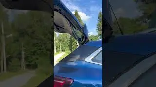 Прошивка Рено Меган 4 отключение мочевины егр