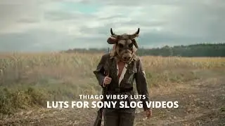 2 in 1 Sony Slog3 LUTs Pack 