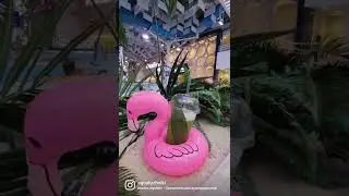 Почувствуйте атмосферу курорта🍹 
