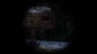 PSVR2 GAME PLAY