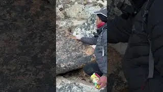 December 8, 2023 | Feeding the  Himalayan Hungry Birds | Everest Region