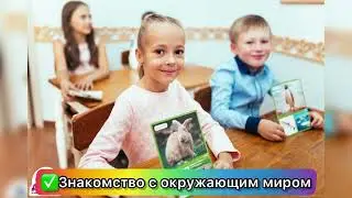 ПОДГОТОВКА К ШКОЛЕ в Детском центре "Добрыня"