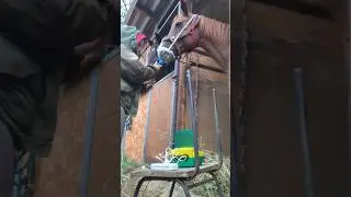 Часть 2 | Октябрьский день с лошадками🐴🌧️ tg: LuOx21