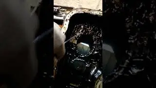 Что происходит с поддоном после промывки с димексидом?