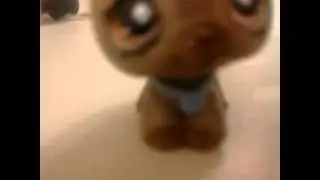КОТ ВЗАРВАЛСЯ!!!!!😂