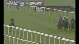 Hawk Wing- 2003 Lockinge Stakes