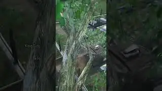 Кто этот водитель? 