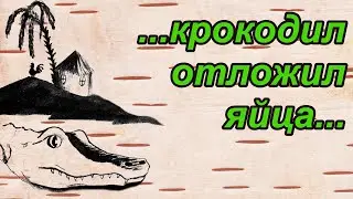 Анекдоты про спасателя и медведя,  Вовочку и крокодила
