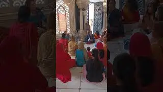 Hare Krishna Hare Rama #krishna #vrindavan #trendingshorts