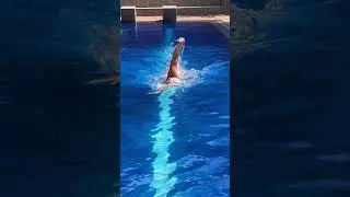 А у тебя РУКИ на месте?