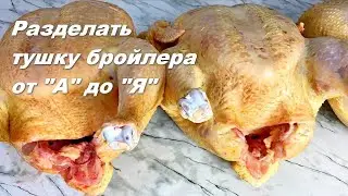 Разделать Бройлера от А до Я