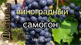 Самогон из винограда на  Люкссталь 8М. Часть1