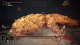 Red Wolf of Radagon NG+ - ELDEN RING™