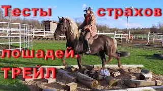 Тесты молодых лошадей и коневладельцев. Весёлые старты по трейлу в руках для жеребят