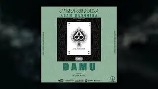 14  DAMU