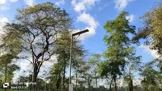 That view 😍 when I was in Assam 🙌❤️