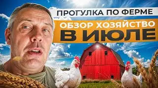 Обзор хозяйства в ИЮЛЕ: уток пора убирать, гуси подросли, телки стали ручными 🦆🐓🐑🐐