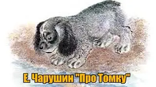Е. Чарушин 