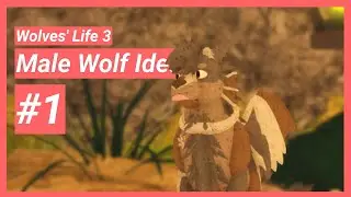 Roblox | Wolves' Life 3 | Male Wolf Ideas #1