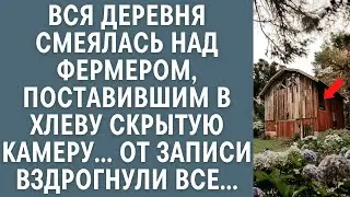 Вся деревня смеялась над фермером, поставившим в хлеву скрытую камеру… От записи вздрогнули все...