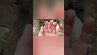 рыбалка на озере