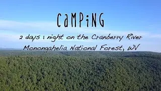 Car Camping in West Virginia, Chewie's final adventure