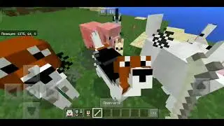 Мод на собак для Майнкрафт пе 1.2