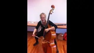 BUMBLE BEE  Christine Hoock doublebass