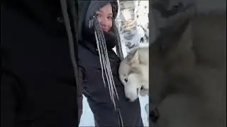 А что делать, если не запасного хозяина, кому жаловаться? #собака #прикол #мем #санктпетербург