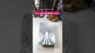 Что тебе ВАЖНО знать 