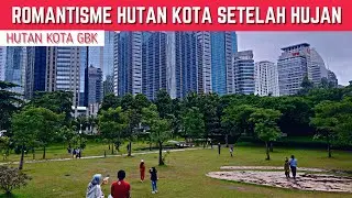 Walking Around Hutan Kota GBK (Gelora Bung Karno) ❗️ GBK City Forest After the Rain , Senayan ‼️