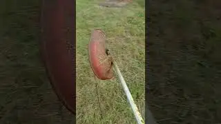 обкос травы на участке