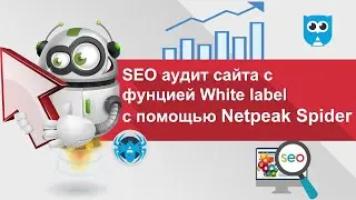 SEO аудит сайта c функцией white label брендированные отчеты с помощью Netpeak Spider