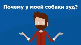 Hills Prescription Diet Derm Complete - диетический корм для заботы о здоровье кожи. Short