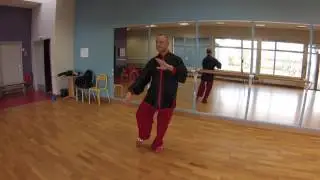 Taijiquan 8