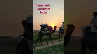 #camel #camelRide in #Jaisalmer #INDIA