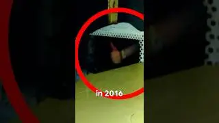 Prisoners Film Their Escape and Get Away😳
