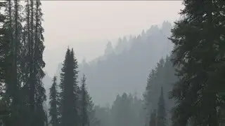 Smoke improves firefighting conditions in the Wapiti Fire