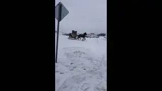 #Эххх, сейчас бы на санях, да по морозцу #Зимняя прогулка на санях