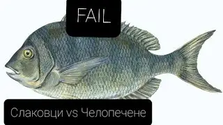 Слаковци срещу Челопече Неуспешен бг риболов #matpat matpat