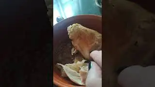 🍃 ТРЕТИЙ 
