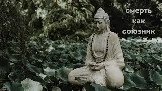 Смерть как союзник