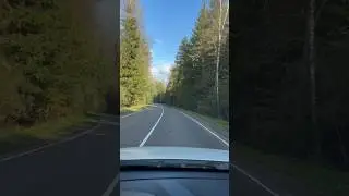 Видеорегистратор | осенняя дорога