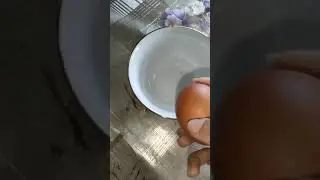 Egg shell painting ||Easy Craft Painting