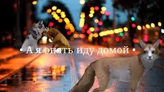 Мап!!! (Чит.закреп.комм!!)