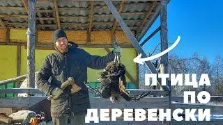 ГОТОВЛЮ ИНДЮКА В ДУХОВКЕ ЦЕЛИКОМ...