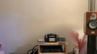 Chopin Piano Concerto No. 1 Rondo