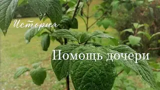 История. Помощь дочери