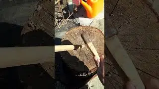 ууу еду к пыгмэям! 